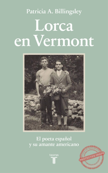 Cover of Spanish edition